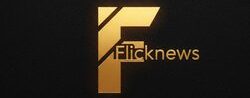 Flicknewsngr